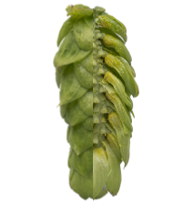 Image of Topaz™